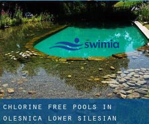 Chlorine Free Pools in Oleśnica (Lower Silesian Voivodeship)