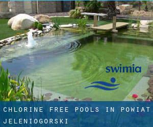 Chlorine Free Pools in Powiat jeleniogórski