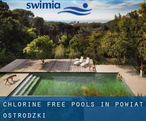 Chlorine Free Pools in Powiat ostródzki