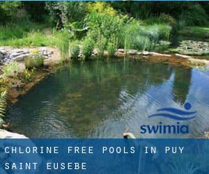 Chlorine Free Pools in Puy-Saint-Eusèbe