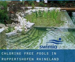 Chlorine Free Pools in Ruppertshofen (Rhineland-Palatinate)