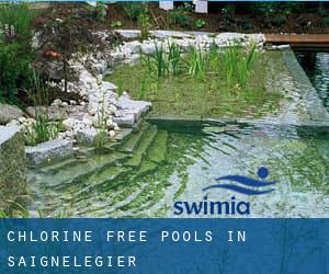 Chlorine Free Pools in Saignelégier