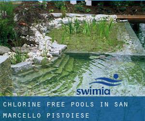 Chlorine Free Pools in San Marcello Pistoiese