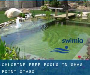 Chlorine Free Pools in Shag Point (Otago)