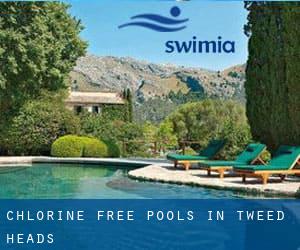 Chlorine Free Pools in Tweed Heads