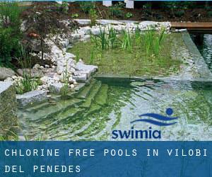 Chlorine Free Pools in Vilobí del Penedès