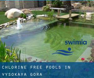 Chlorine Free Pools in Vysokaya Gora