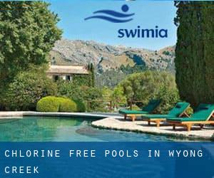 Chlorine Free Pools in Wyong Creek