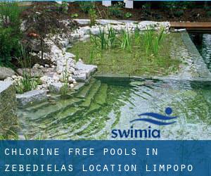 Chlorine Free Pools in Zebedielas Location (Limpopo)