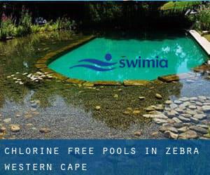 Chlorine Free Pools in Zebra (Western Cape)