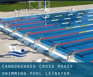 Cannonswood Cross Roads Swimming Pool (Leinster)