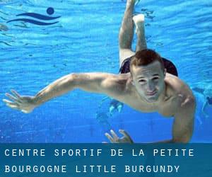 Centre Sportif de la Petite-Bourgogne / Little Burgundy Sports Centre