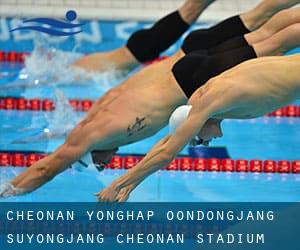 Cheonan Yonghap Oondongjang Suyongjang (Cheonan Stadium Olympic Pool)