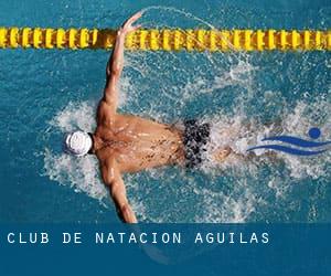 CLUB DE NATACION AGUILAS