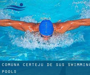 Comuna Certeju de Sus Swimming Pools