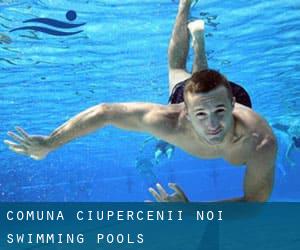 Comuna Ciupercenii Noi Swimming Pools