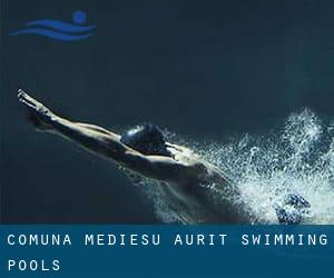 Comuna Medieşu Aurit Swimming Pools