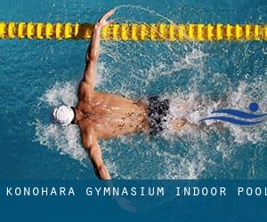 Konohara Gymnasium Indoor Pool