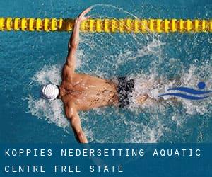 Koppies Nedersetting Aquatic Centre (Free State)