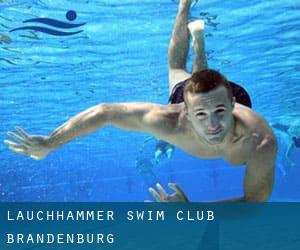 Lauchhammer Swim Club (Brandenburg)