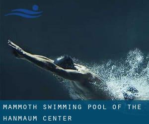 Mammoth Swimming Pool of the Hanmaum Center