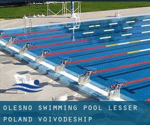 Olesno Swimming Pool (Lesser Poland Voivodeship)