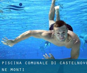 Piscina comunale di Castelnovo ne' Monti