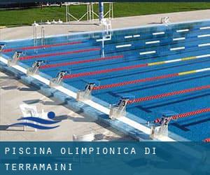 Piscina Olimpionica di Terramaini