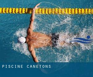 Piscine Canetons