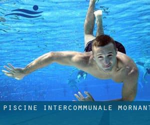 Piscine Intercommunale - Mornant