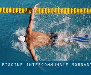 Piscine Intercommunale - Mornant