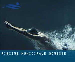 Piscine Municipale - Gonesse