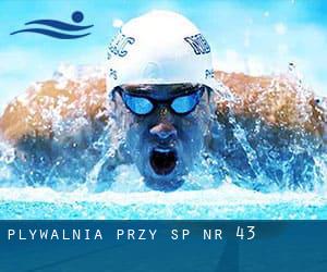 Plywalnia przy SP nr 43