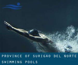 Province of Surigao del Norte Swimming Pools