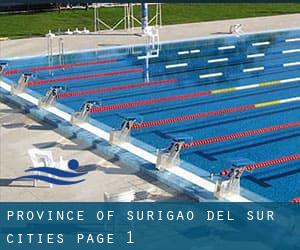 Province of Surigao del Sur (Cities) - page 1