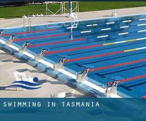 Swimming in Tasmania