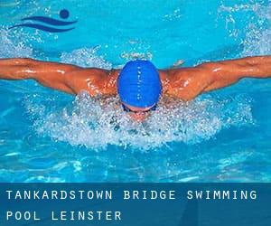 Tankardstown Bridge Swimming Pool (Leinster)