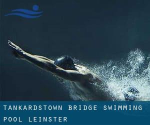 Tankardstown Bridge Swimming Pool (Leinster)